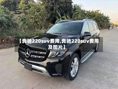 【奔驰220suv费用,奔驰220suv费用及图片】