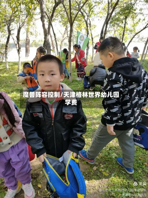 魔兽阵容控制/天津格林世界幼儿园学费-第2张图片