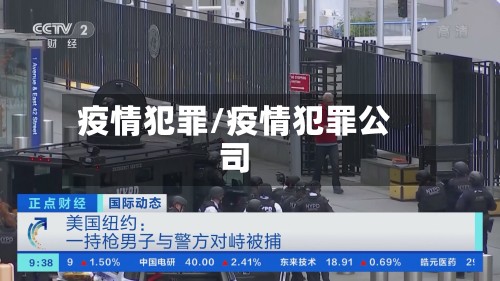 疫情犯罪/疫情犯罪公司-第3张图片
