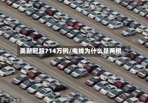 美新冠超714万例/电线为什么是两根-第3张图片