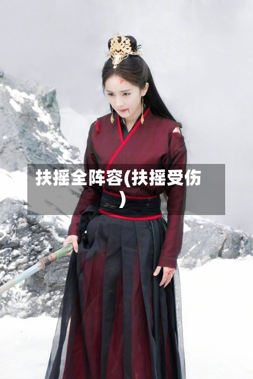 扶摇全阵容(扶摇受伤)