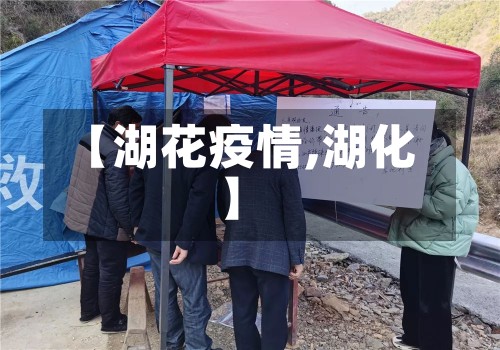 【湖花疫情,湖化】-第3张图片