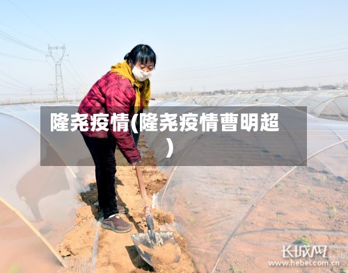 隆尧疫情(隆尧疫情曹明超)