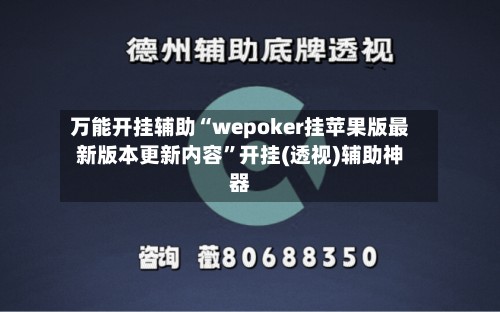 万能开挂辅助“wepoker挂苹果版最新版本更新内容”开挂(透视)辅助神器-第3张图片