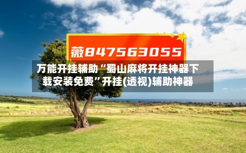 万能开挂辅助“蜀山麻将开挂神器下载安装免费”开挂(透视)辅助神器-第3张图片