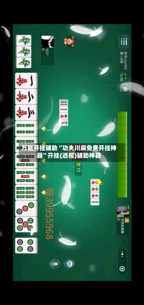万能开挂辅助“功夫川麻免费开挂神器”开挂(透视)辅助神器-第3张图片