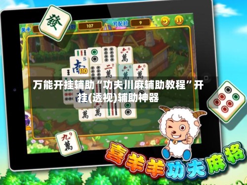 万能开挂辅助“功夫川麻辅助教程”开挂(透视)辅助神器-第3张图片