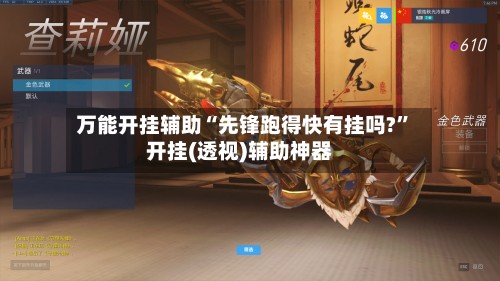 万能开挂辅助“先锋跑得快有挂吗?	”开挂(透视)辅助神器-第2张图片