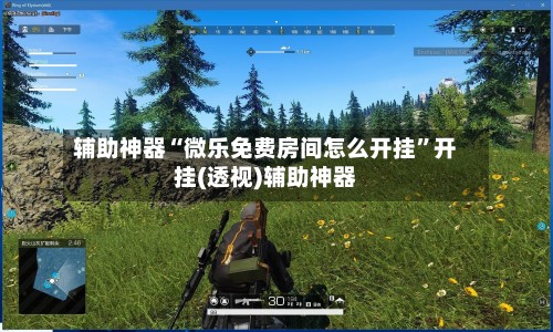 辅助神器“微乐免费房间怎么开挂”开挂(透视)辅助神器-第2张图片
