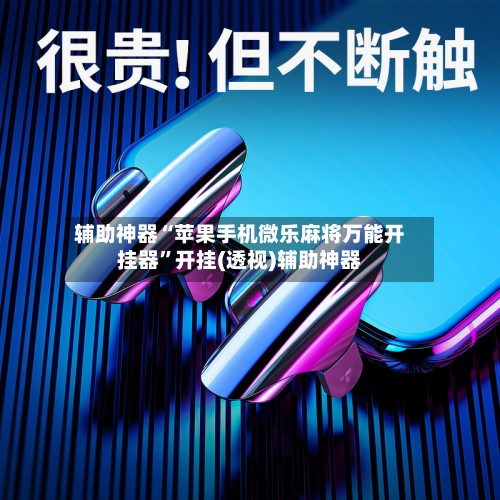 辅助神器“苹果手机微乐麻将万能开挂器”开挂(透视)辅助神器-第2张图片
