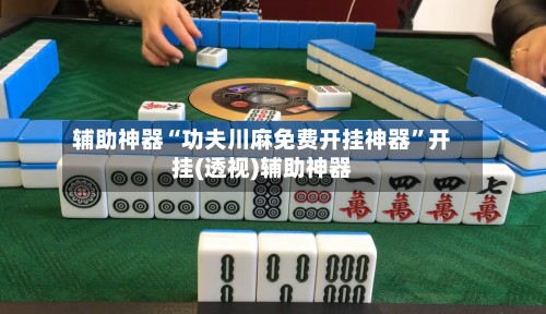 辅助神器“功夫川麻免费开挂神器”开挂(透视)辅助神器-第2张图片