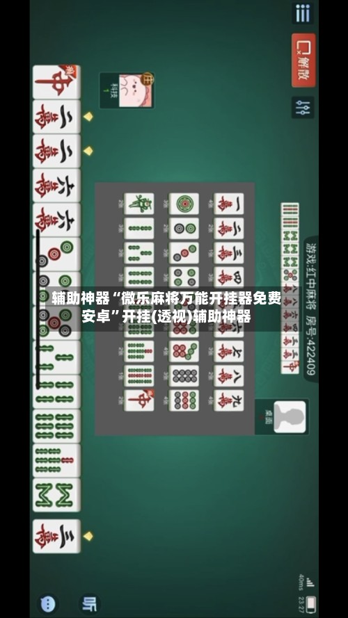 辅助神器“微乐麻将万能开挂器免费安卓”开挂(透视)辅助神器-第2张图片