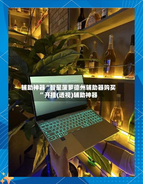 辅助神器“智星菠萝德州辅助器购买”开挂(透视)辅助神器-第2张图片
