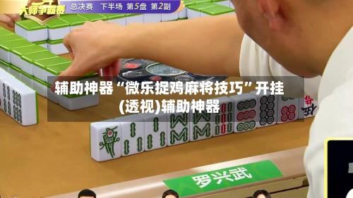 辅助神器“微乐捉鸡麻将技巧”开挂(透视)辅助神器-第2张图片