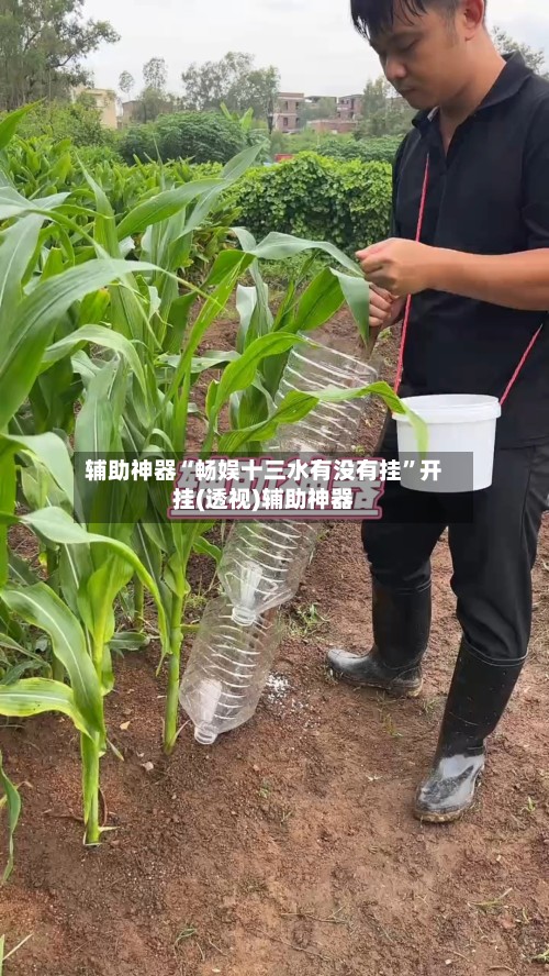 辅助神器“畅娱十三水有没有挂”开挂(透视)辅助神器-第2张图片