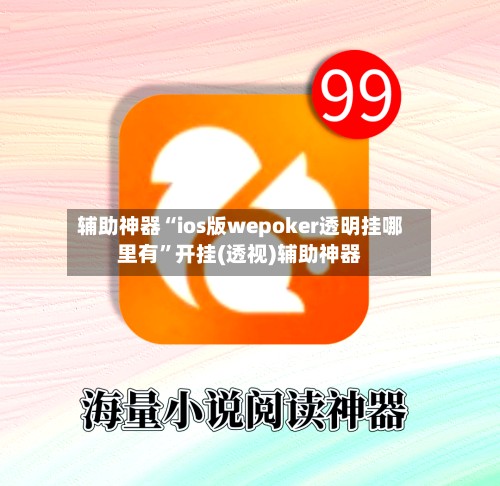 辅助神器“ios版wepoker透明挂哪里有”开挂(透视)辅助神器-第2张图片