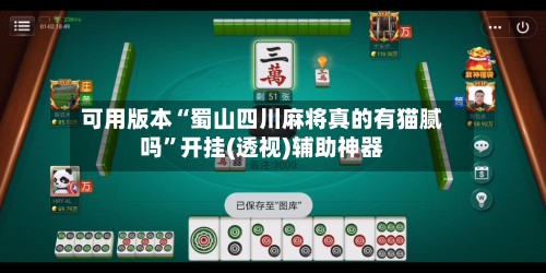 可用版本“蜀山四川麻将真的有猫腻吗”开挂(透视)辅助神器-第2张图片