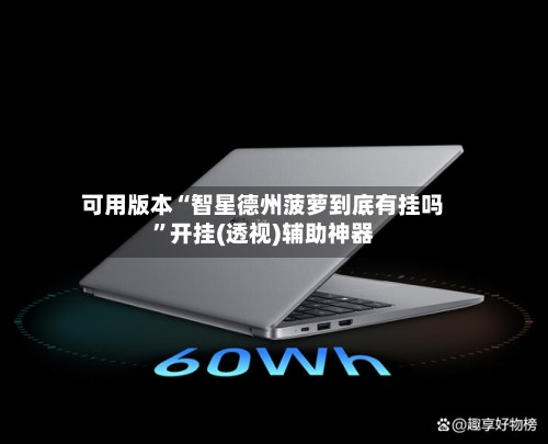可用版本“智星德州菠萝到底有挂吗”开挂(透视)辅助神器-第2张图片