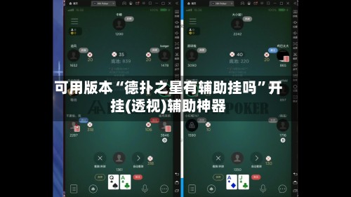 可用版本“德扑之星有辅助挂吗”开挂(透视)辅助神器-第3张图片
