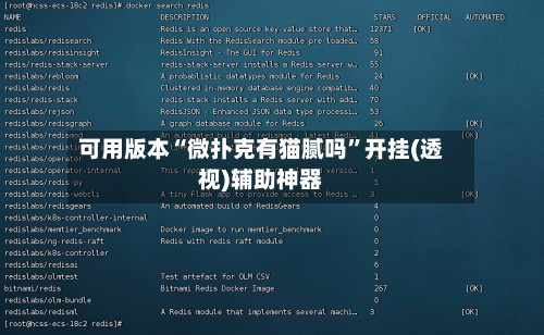 可用版本“微扑克有猫腻吗	”开挂(透视)辅助神器-第2张图片