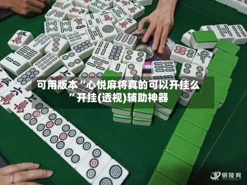 可用版本“心悦麻将真的可以开挂么”开挂(透视)辅助神器-第2张图片
