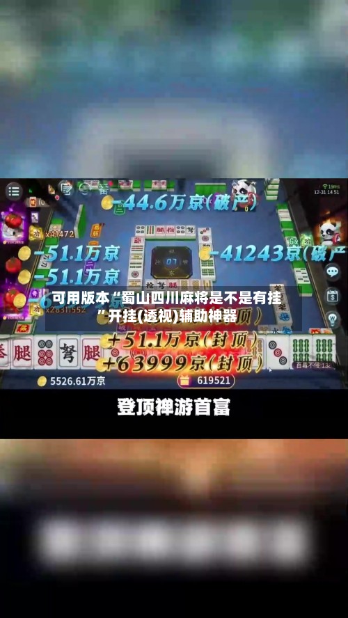可用版本“蜀山四川麻将是不是有挂”开挂(透视)辅助神器-第3张图片