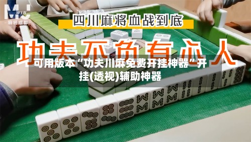 可用版本“功夫川麻免费开挂神器”开挂(透视)辅助神器-第3张图片
