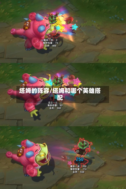 塔姆的阵容/塔姆和哪个英雄搭配-第2张图片