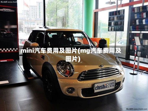 mini汽车费用及图片(mg汽车费用及图片)-第3张图片