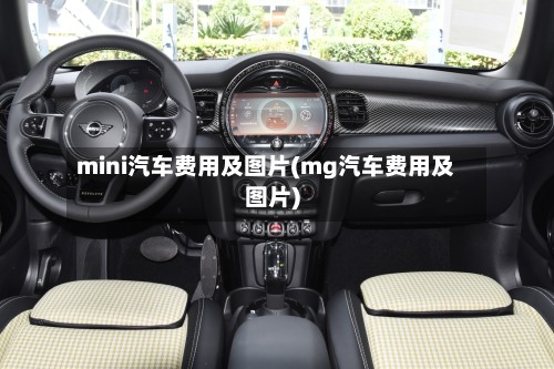 mini汽车费用及图片(mg汽车费用及图片)-第2张图片