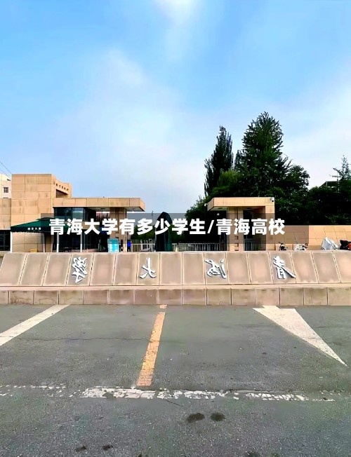 青海大学有多少学生/青海高校