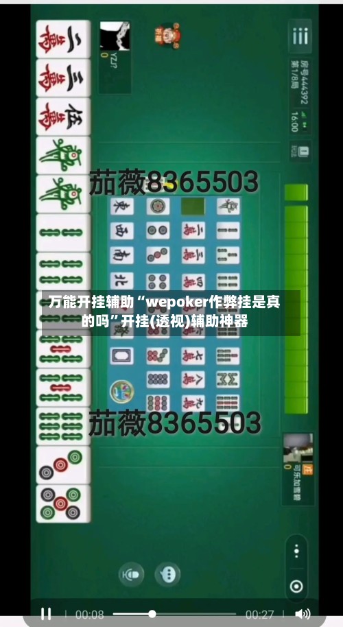万能开挂辅助“wepoker作弊挂是真的吗”开挂(透视)辅助神器-第2张图片