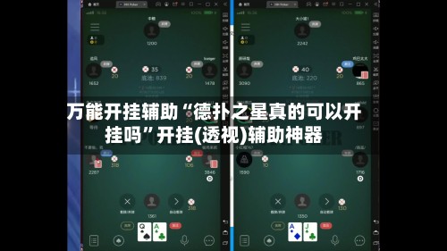 万能开挂辅助“德扑之星真的可以开挂吗”开挂(透视)辅助神器-第2张图片