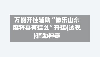 万能开挂辅助“微乐山东麻将真有挂么”开挂(透视)辅助神器-第2张图片