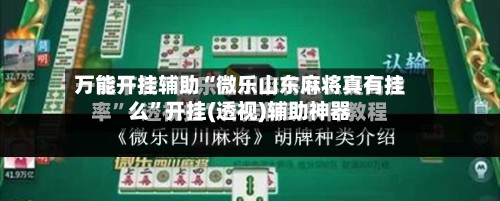 万能开挂辅助“微乐山东麻将真有挂么”开挂(透视)辅助神器-第3张图片