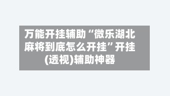 万能开挂辅助“微乐湖北麻将到底怎么开挂”开挂(透视)辅助神器-第2张图片