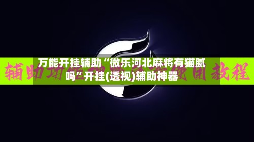 万能开挂辅助“微乐河北麻将有猫腻吗”开挂(透视)辅助神器-第3张图片