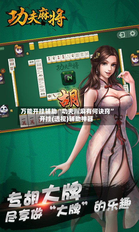 万能开挂辅助“功夫川麻有何诀窍”开挂(透视)辅助神器-第3张图片