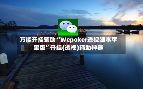 万能开挂辅助“Wepoker透视脚本苹果版”开挂(透视)辅助神器-第3张图片