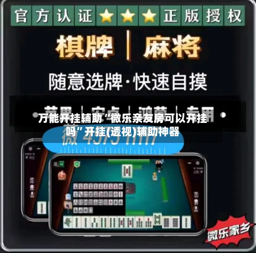 万能开挂辅助“微乐亲友房可以开挂吗”开挂(透视)辅助神器-第2张图片