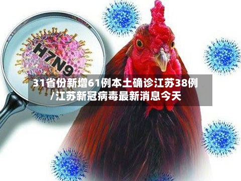 31省份新增61例本土确诊江苏38例/江苏新冠病毒最新消息今天