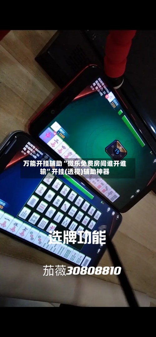 万能开挂辅助“微乐免费房间谁开谁输”开挂(透视)辅助神器-第2张图片